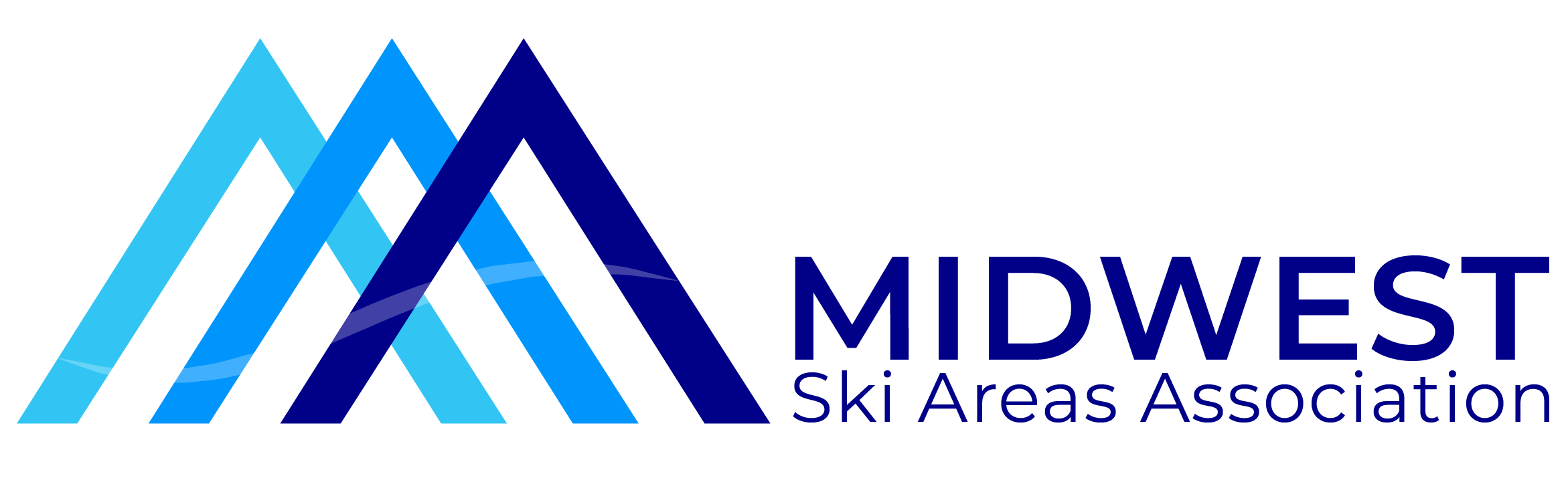 MSAA Logo